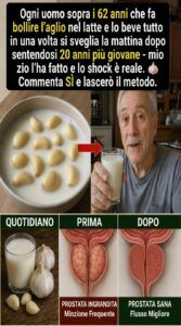 Qualsiasi uomo di età superiore ai 62 anni che fa bollire l’aglio nel latte innesca un processo di ripristino della prostata.