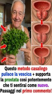 Il Saw Palmetto innesca un ripristino della vescica e della prostata che puoi percepire