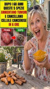 Le cellule danneggiate continuano ad alimentare un’infiammazione silenziosa finché questo schema in cucina, spesso trascurato, non la interrompe.