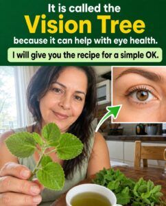 Regain Clear Vision: The Hidden Power of Oregano for Cataracts and Eye Health