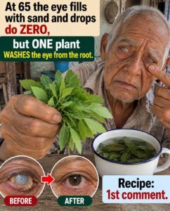 Dry eye after 65: what can help you feel relief without complicating things
