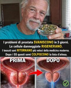 Cosa scatena il succo di barbabietola all’interno di una prostata infiammata