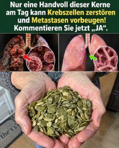 Sechs Samen regen nach 60 Jahren täglich einen entzündungshemmenden Neustart an.