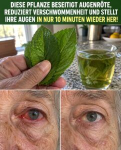 Eine Tasse Augentrost-Tee verursacht schnell rote, verschwommene Augen.