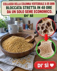 Le ossa deboli si spezzano sotto lo sforzo quotidiano, mentre questo seme economico offre ciò che la polvere di calcio non può offrire.