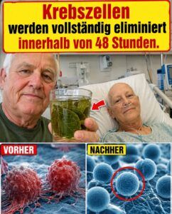 Krebszellen und Stachelannone: Was die 48-Stunden-Behauptung verschweigt