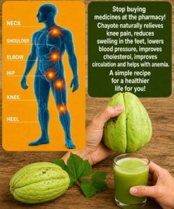 Benefits of Chayote: Why This Humble Vegetable Is Becoming a Superfood