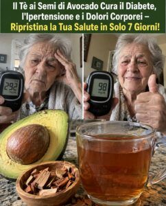 Il tè al nocciolo di avocado favorisce un ripristino nascosto della glicemia, del gonfiore e dell’infiammazione.