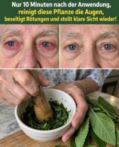 Eine Tasse Augentrost-Tee verursacht schnell rote, verschwommene Augen.