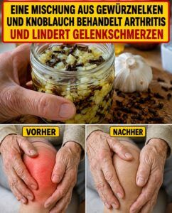 grok image 3c8c914d 18d0 42b1 9350 7b2b30b43af7