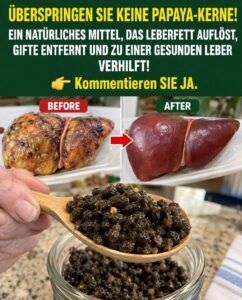 Papayakerne regen eine Darm-, Leber- und Blutkreislauf-Regeneration an, die die meisten Menschen übersehen.