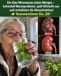 Ihre Nieren reagieren, sobald Minzwasser in Ihre Morgenroutine Einzug hält.