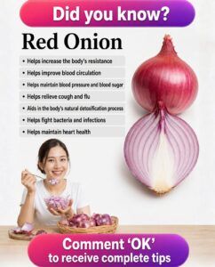 Homemade red onion syrup: a traditional recipe that can support respiratory health, relieve coughs, and strengthen natural defenses.