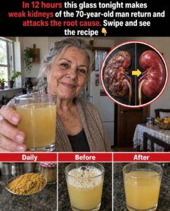 Can a nightly drink repair the kidneys in 12 hours?