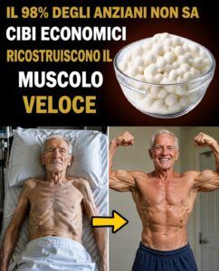 Gli alimenti economici aiutano a ricostruire rapidamente la massa muscolare negli anziani.