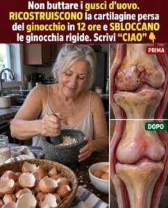 Gusci d’uovo per il ginocchio: cosa può davvero aiutare la cartilagine