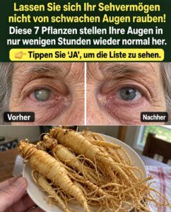 Linderung bei Sehbeeinträchtigungen: 7 Kräuter, die schnell auf die Augenoberfläche wirken