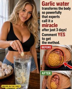 Garlic Water as a Complement to Your Well-being