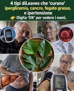 Le quattro foglie che influiscono sulla glicemia, sulla steatosi epatica e sulla circolazione.