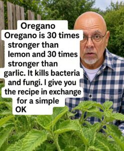 Discover the Power of Oregano and its Health Benefits