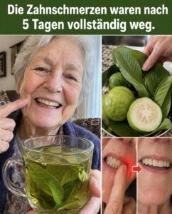 Guavenblätter lösen einen Mund-Reset aus, der den Verfall hemmt.