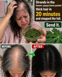 Hair strands in the shower: the truth about papaya and hair loss