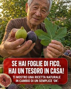 Il potere delle foglie di fico: benefici nascosti in queste foglie