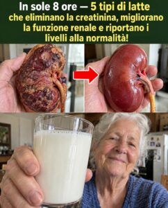 La rapida guarigione renale inizia con questa scelta di latte