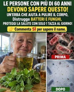 Il potere nascosto dell’origano nel tuo corpo: perché è così efficace.