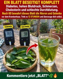 Dieses oft übersehene Bitterblatt beruhigt steife Arterien, Blutzuckerschwankungen und träge Durchblutung.