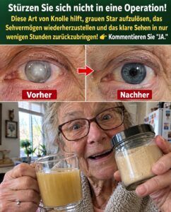 Geschädigtes Sehvermögen wehrt sich: 7 Kräuter, die die Augen wieder zum Leben erwecken