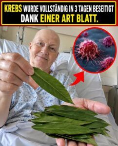 Ein einzelnes Blatt löst den Zellkollaps von Krebszellen aus.