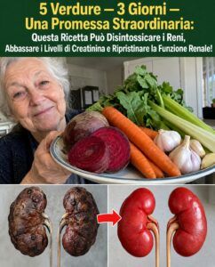 Creatinina e tossine renali: 5 verdure che favoriscono l’eliminazione delle tossine.