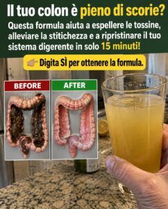 Questa miscela fatta in casa favorisce lo svuotamento rapido del colon.