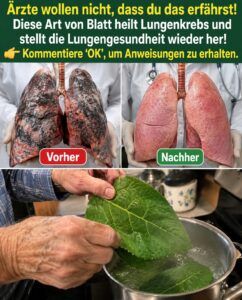 Ein verstecktes Blatt löst einen heftigen Lungen-Reset aus