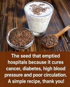 Benefits of Grape Seeds: Why These Tiny Seeds Are a Powerful Natural Antioxidant