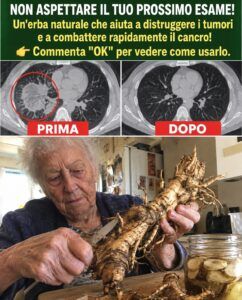 La radice di tarassaco innesca un arresto cellulare che il tuo corpo può percepire