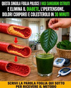 I vasi sanguigni ostruiti rimangono pieni di placca finché questa foglia da cucina non cambia la circolazione