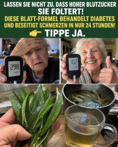 Neemblätter bewirken eine Normalisierung des Blutzucker- und Blutdruckspiegels