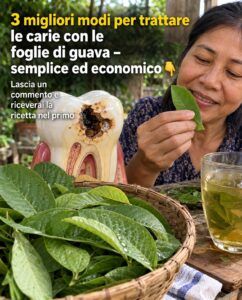 Foglie di guava contro la carie: 3 azioni per la bocca che contrastano efficacemente la carie.