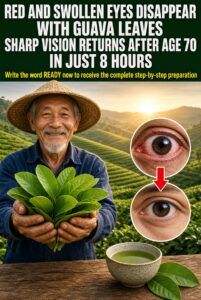 Guava Leaves: Traditional Tea, Ways to Use It, and Eye Care