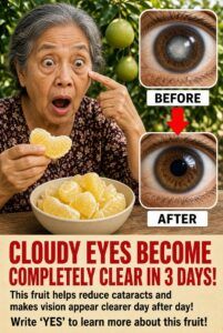 Fruits and Eye Health: A Simple Recipe to Support Vision Day to Day