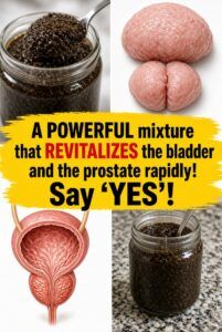 Bladder and Prostate: How to Naturally Support Urinary Comfort