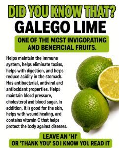 Lemon Benefits for Health and Well-Being: What You Need to Know