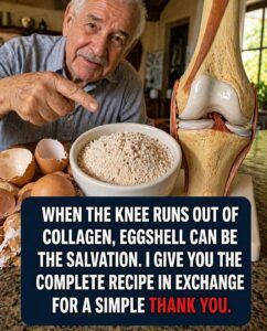 Never Throw Away Eggshells Again: They Are a Treasure for Your Bones
