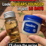 Benefits of Natural Collagen and Homemade Recipes for Skin Care
