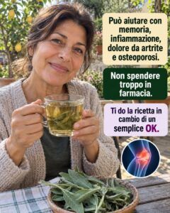 Salvia: la pianta che risveglia la memoria, riduce l’infiammazione e allevia il dolore.
