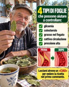 Quattro foglie dalle proprietà curative: avocado, mango, alloro e guava – alleati naturali nella lotta per il benessere quotidiano.
