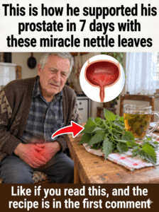 Nettle Root: When to Take It and How to Use It Safely