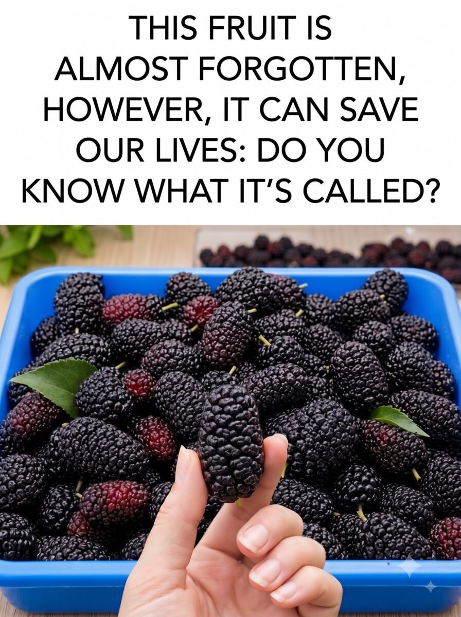 Hand holding strawberry 2K 20261001091540 Hand holding strawberry 2K 20261001091540